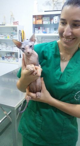 Clínica Veterinaria Puerto de Mazarrón clínica veterinaria 19