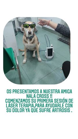 nala cros