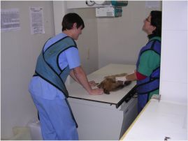 Clínica Veterinaria Puerto de Mazarrón clínica veterinaria 28