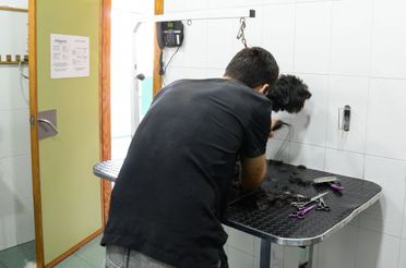 Clínica Veterinaria Puerto de Mazarrón servicios de la clínica 3