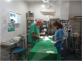 Clínica Veterinaria Puerto de Mazarrón clínica veterinaria 26