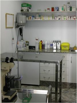 Clínica Veterinaria Puerto de Mazarrón clínica veterinaria 22