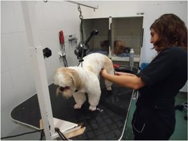 Clínica Veterinaria Puerto de Mazarrón clínica veterinaria 25